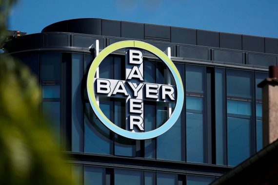 bayer