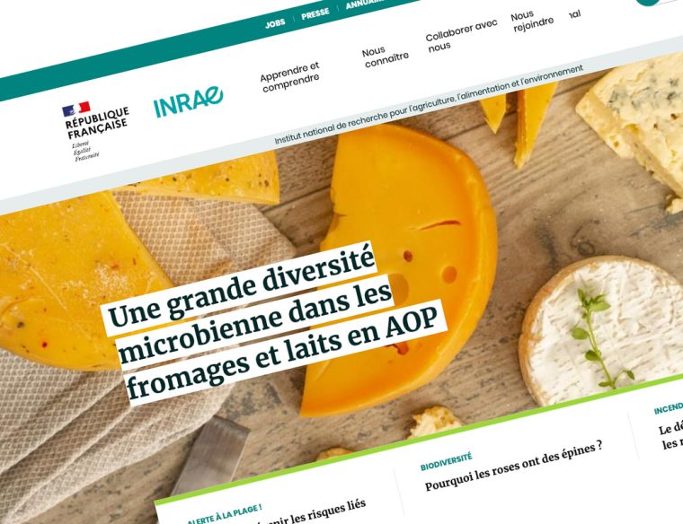 Numéro INSEE : Tout Savoir sur le Numéro de Sécurité Sociale