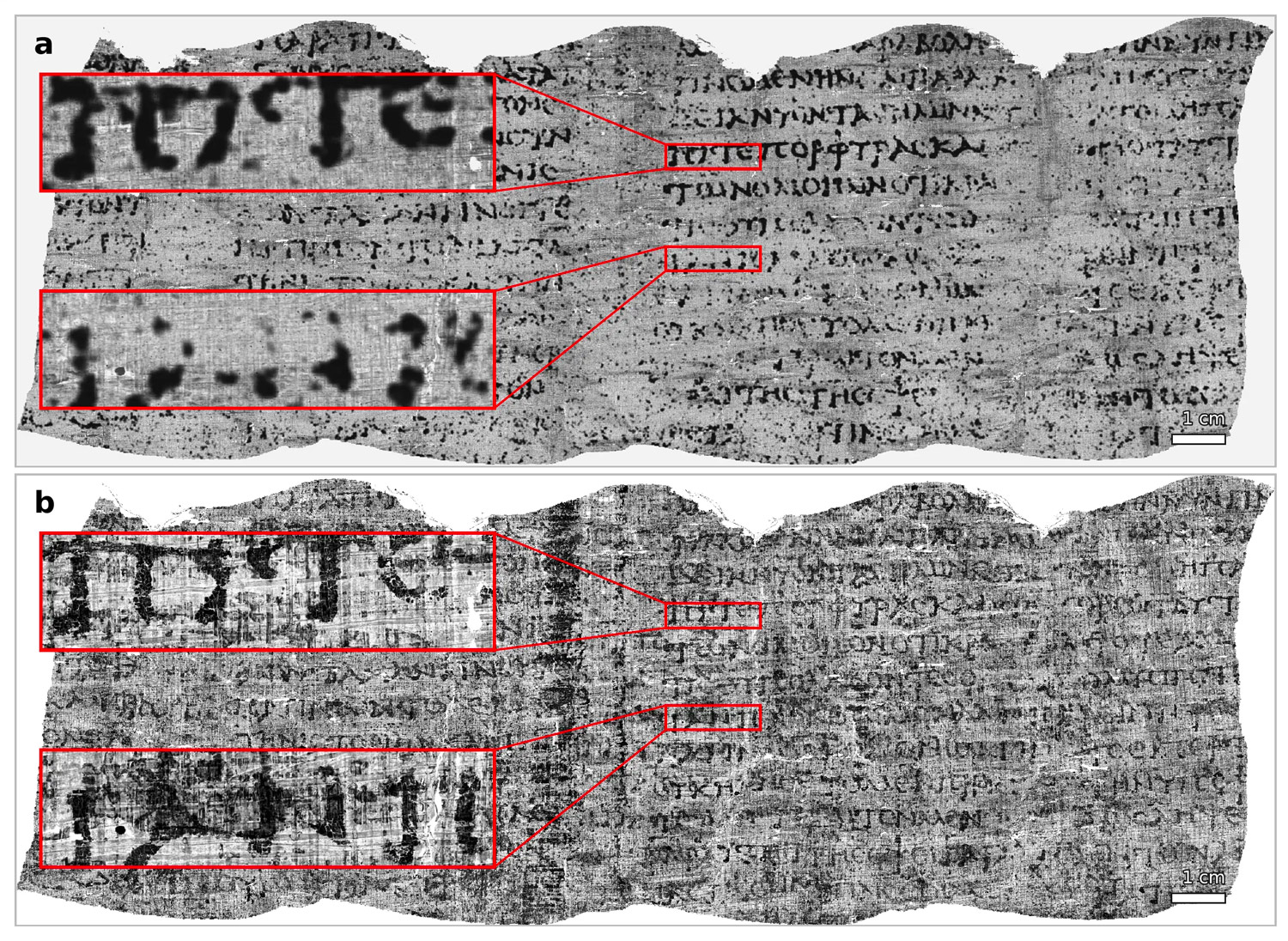 papyrus2